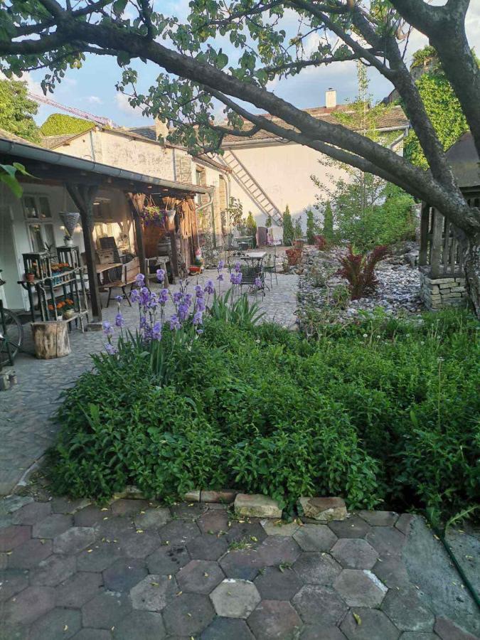 Somborski Salas - Strogi Centar Экстерьер фото